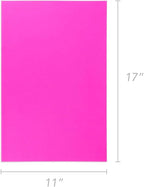 Hygloss Assorted Bright Colored Paper - 24 lb, 89 GSM, Acid-Free, Fade-Resistant, 11x17-Inch Ledger Size Color Copy Paper, 240 Sheets, 12 Colors