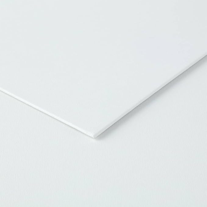 Creative Mark Cotton Canvas Panels 14x18" - 12 Pack - Professional Quality Fine Weave Acrylic Primed Artist Canvas Boards for Painting, Acrylics, Studios, & More