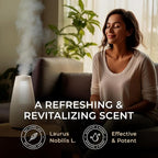 Gya Labs Bay Leaf Essential Oil - 0.34 Fl Oz - for Hair, Skin, Diffuser, Aromatherapy & DIY Candle Making Scent