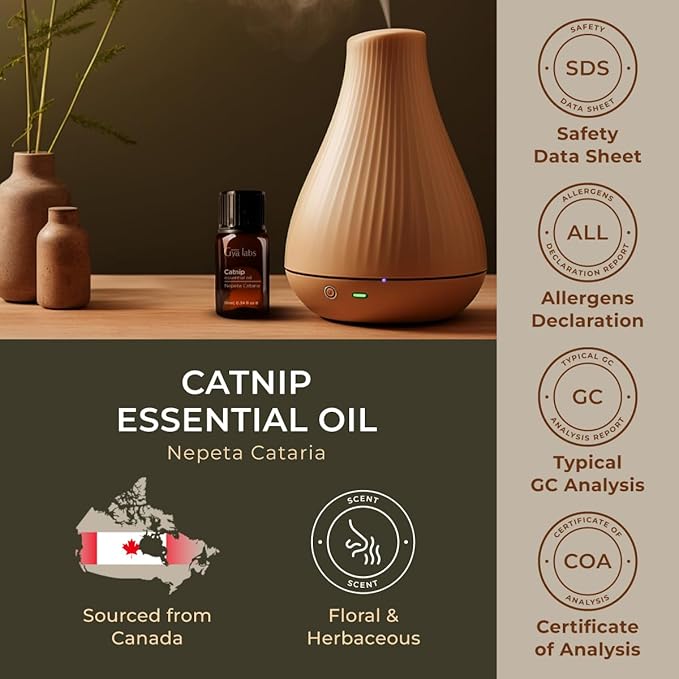 Gya Labs Catnip Essential Oil - 0.34 Fl Oz - for Hair, Skin, Diffuser, Aromatherapy & DIY Candle Making Scent