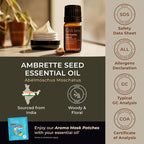 Gya Labs Ambrette Seed Essential Oil - 0.34 Fl Oz - for Hair, Skin, Diffuser, Aromatherapy & DIY Candle Making Scent