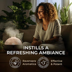 Gya Labs Ravensara Essential Oil - 0.34 Fl Oz - for Hair, Skin, Diffuser, Aromatherapy & DIY Candle Making Scent