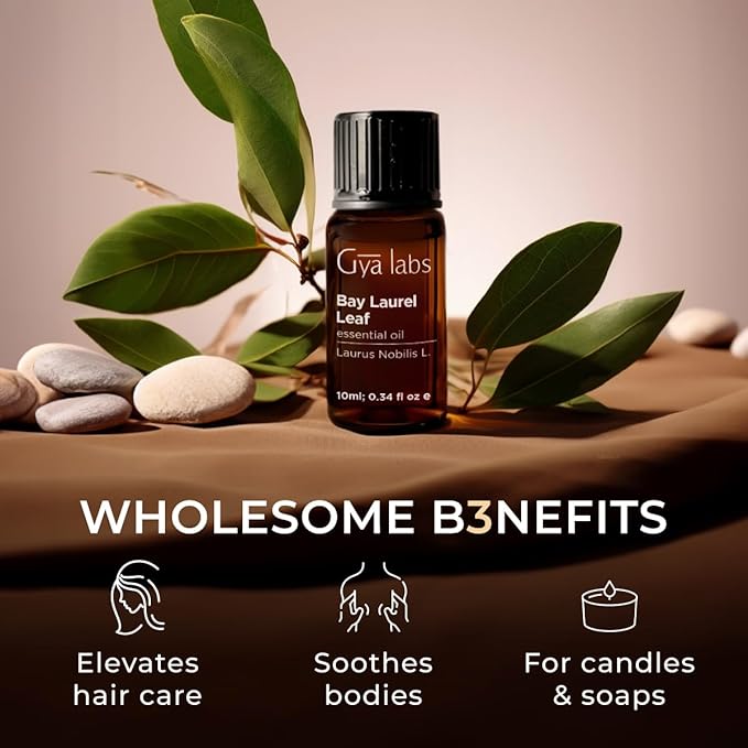 Gya Labs Bay Leaf Essential Oil - 0.34 Fl Oz - for Hair, Skin, Diffuser, Aromatherapy & DIY Candle Making Scent