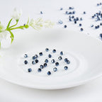 1200PCS 3mm Bicone Crystal Glass Beads for Jewelry Making, Sparkling Mini Beads for Suncatchers, DIY Bracelets & Craft Projects (Navy Blue)