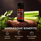 Gya Labs Celery Seed Essential Oil - 0.34 Fl Oz - for Hair, Skin, Diffuser, Aromatherapy & DIY Candle Making Scent