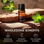 Gya Labs Melissa Essential Oil - 0.34 Fl Oz - for Hair, Skin, Diffuser, Aromatherapy & DIY Candle Making Scent