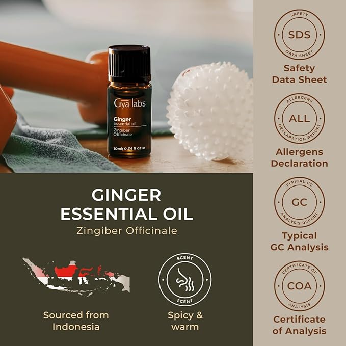 Gya Labs Ginger Essential Oil - 0.34 Fl Oz - for Hair, Skin, Diffuser, Aromatherapy & DIY Candle Making Scent