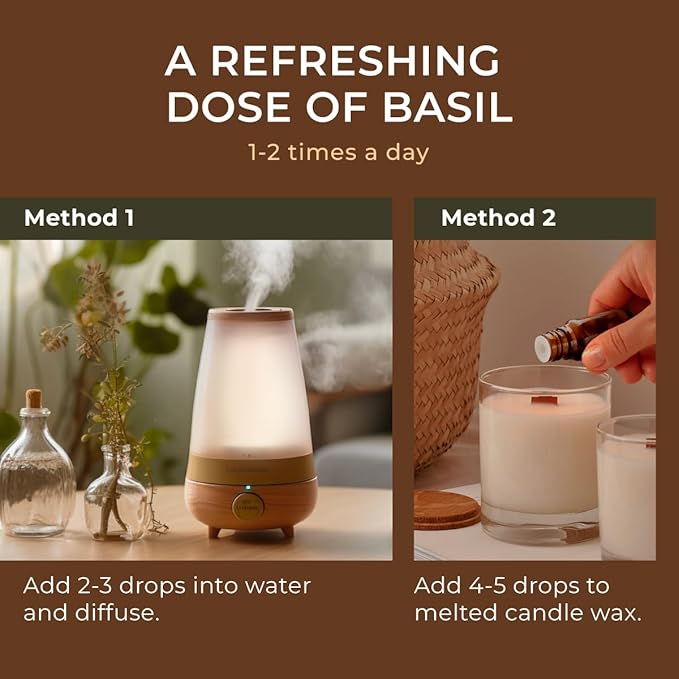 Gya Labs Holy Basil (Tulsi) Essential Oil - 0.34 Fl Oz - for Hair, Skin, Diffuser, Aromatherapy & DIY Candle Making Scent