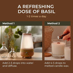 Gya Labs Holy Basil (Tulsi) Essential Oil - 0.34 Fl Oz - for Hair, Skin, Diffuser, Aromatherapy & DIY Candle Making Scent