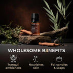 Gya Labs Cinnamon Cassia Essential Oil - 0.34 Fl Oz - for Hair, Skin, Diffuser, Aromatherapy & DIY Candle Making Scent