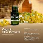 Gya Labs Blue Tansy Essential Oil - 0.17 Fl Oz - for Hair, Skin, Diffuser, Aromatherapy & DIY Candle Making Scent