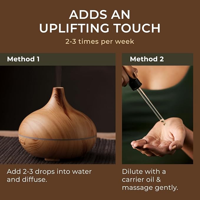 Gya Labs Pine Needle Essential Oil - 0.34 Fl Oz - for Hair, Skin, Diffuser, Aromatherapy & DIY Candle Making Scent