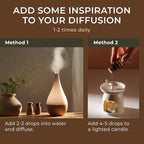 Gya Labs Silver Fir Essential Oil - 0.34 Fl Oz - for Hair, Skin, Diffuser, Aromatherapy & DIY Candle Making Scent