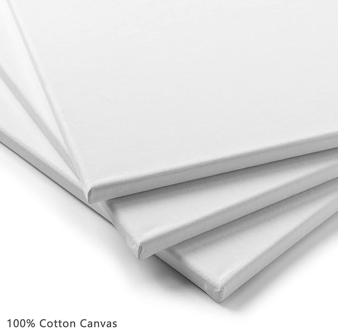 MEEDEN Stretched Canvas, 16 × 20 Inch, Pack of 6, Blank White Canvases for Painting, 100% Cotton, 8 oz Gesso-Primed, Pre-Stretched Canvas for Acrylic Oil Pouring & Airbrushing Painting