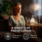 Gya Labs Cilantro Essential Oil - 0.34 Fl Oz - for Hair, Skin, Diffuser, Aromatherapy & DIY Candle Making Scent