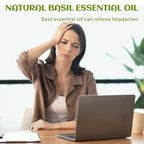 EVOKE OCCU Basil Essential Oil for Skin Massage Diffuser and Candle Making- 4 Fl Oz