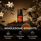 Gya Labs Orange Essential Oil - 0.34 Fl Oz - for Hair, Skin, Diffuser, Aromatherapy & DIY Candle Making Scent