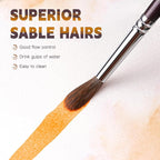Fuumuui Sable Watercolor Brushes, Professional 10Pcs Sable Paint Brush Set Variety Shapes with Flats, Extended Needle Point, Dagger, Cat's Tongue, Rounds Perfect for Watercolor Acrylic Gouache Inks