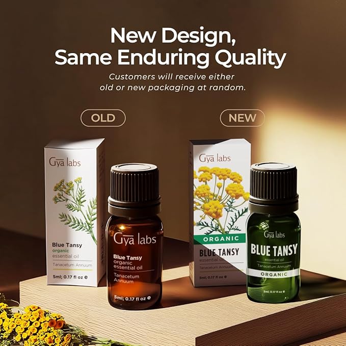 Gya Labs Blue Tansy Essential Oil - 0.17 Fl Oz - for Hair, Skin, Diffuser, Aromatherapy & DIY Candle Making Scent