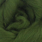 Revolution Fibers Merino Wool Combed Top | 1 lb Premium Wool Roving | 22 Micron, Best Merino Wool for Spinning, Tapestry, Needle Felting, Big Yarn Roving and Wall Hangings (Willow Green)