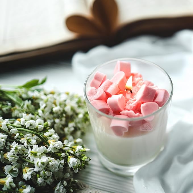 Thick Candle Jars for Making Candles 16 Pcs, 7 OZ Empty Jars with Wood Lids for Candle Making, Sample Container, Clear