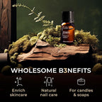 Gya Labs Oregano Essential Oil - 0.34 Fl Oz - for Hair, Skin, Diffuser, Aromatherapy & DIY Candle Making Scent