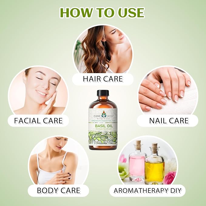 EVOKE OCCU Basil Essential Oil for Skin Massage Diffuser and Candle Making- 4 Fl Oz