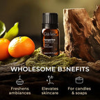 Gya Labs Tangerine Essential Oil - 0.34 Fl Oz - for Hair, Skin, Diffuser, Aromatherapy & DIY Candle Making Scent