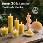 NORVENCE Beeswax Pellets 5LB/10LB/20LB, Pure & Natural Yellow Beeswax for Candle Making, DIY Skin Care, Lip Balm, Soap, Lotion, Creams & Wood Polishing – 5LB