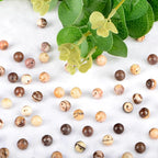 Natural Stone Genuine Stones DIY Round Beads 8mm 100pcs Beading Loose Gemstone Hole Size 1mm Charm Smooth Beads for Bracelets Necklaces Earrings (Brown Zebra Jasper 8mm)