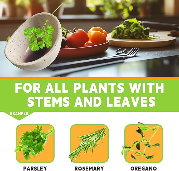 Pottery Herb Stripper Bowl -2025 New Handmade Ceramic Tool for Kale, Beets, Herbs - Ideal for Homesteading & Kitchen, Durable (White Glaze)