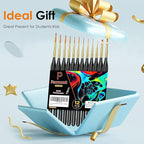 Detail Paint Brushes Set, 12PC Miniature Brushes for Fine Detailing & Art Painting, Small Tiny Paint Brush Perfect for Acrylic, Paint by Number, Craft, Models (Black)