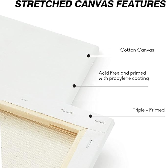 CONDA Stretched Canvas for Painting, 8x10 Inch 4 Packs of Canvases for Artist Art Supplies, 100% Cotton Primed Canvas, Profile Value Bulk Pack for Acrylics, Oils Painting