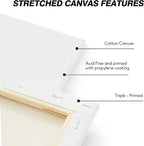 CONDA Stretched Canvas for Painting, 8x10 Inch 4 Packs of Canvases for Artist Art Supplies, 100% Cotton Primed Canvas, Profile Value Bulk Pack for Acrylics, Oils Painting