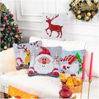 DL-YTG Latch Hook Kits Pillow Apple Crochet Yarn Cushion Colour Pre-Printed Canvas Rug Needlework DIY Pillowcase Hook and Latch Kit Christmas Home Arts Crafts Sofa Decoration 16X16inch