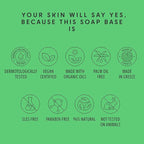 5Lb Aloe Soap Base - Melt and Pour Soap Making Supplies - SLS/SLES Free, No Palm Oil, Natural with Organic Aloe Vera - Rich in Antioxidants, Hydrating, Perfect for Handmade Projects