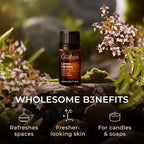 Gya Labs Lemon Verbena Essential Oil - 0.34 Fl Oz - for Hair, Skin, Diffuser, Aromatherapy & DIY Candle Making Scent