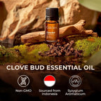 Gya Labs Clove Essential Oil - 0.34 Fl Oz - for Hair, Skin, Diffuser, Aromatherapy & DIY Candle Making Scent