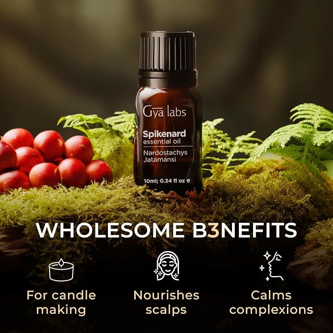 Gya Labs Spikenard Essential Oil - 0.34 Fl Oz - for Hair, Skin, Diffuser, Aromatherapy & DIY Candle Making Scent