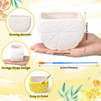 Pasimy 6 Set DIY Ceramic Succulent Planter Pots Paint Your Own Flower Pots Craft Kit Unpainted Bisque Paintable Flowerpot with Brush Palette Ready to Paint for Family Activity Gift(Orange)