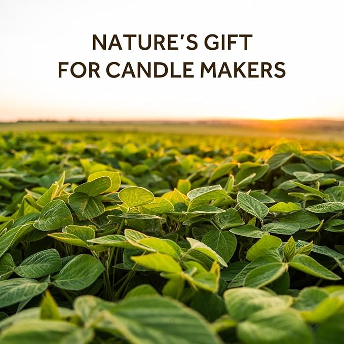 NORVENCE Soy Wax for Candle Making, Natural Soy Wax Flakes 40lb, Premium Candle Wax for DIY Candle Crafting