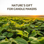 NORVENCE Soy Wax for Candle Making, Natural Soy Wax Flakes 1lb, Premium Candle Wax for DIY Candle Crafting