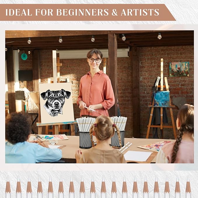 100 Pcs Charcoal Pencils Drawing Set, Charcoal Pencils bulk for Drawing Sketching Shading Blending Portrait Beginners and Artists(White,White Style)