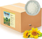 Beeswax Pellets for Candle Making – 5lb/10lb/20lb – Natural Beeswax for Candles, Lip Balms, and Skincare – White Beeswax for DIY Projects – Ideal for Beginners and Experts（10lb）