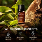 Gya Labs Ravensara Essential Oil - 0.34 Fl Oz - for Hair, Skin, Diffuser, Aromatherapy & DIY Candle Making Scent