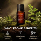 Gya Labs Coriander Essential Oil - 0.34 Fl Oz - for Hair, Skin, Diffuser, Aromatherapy & DIY Candle Making Scent