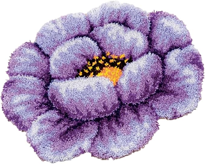 HIYIRUI Latch Hook Kits for Adults DIY Needlework Unfinished Crocheting Rug Kit with Color Preprinted Pattern,Zd615,20.5 X 15 Inch