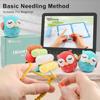 Faircosy 2PCS Beginner Crochet Kit: Amigurumi Crocheting Owls Kits, Starter Kit for Adults and Kids (10Age+) with Detailed Instructions and Tutorial, Surprise Gift for Lover, Family, Friends, Children