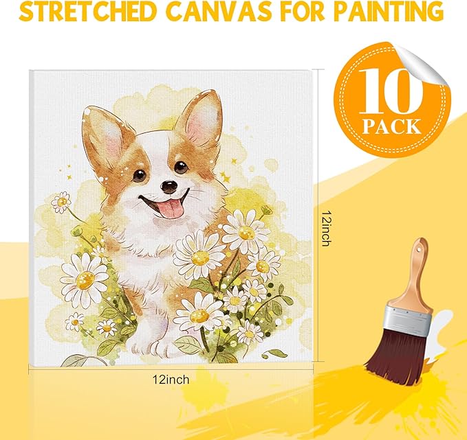 ESRICH Stretched Canvas for Painting 12 x 12 Inch, 10 Pack Blank Canvas -5/8 Inch Profile Primed Cotton White Canvases for Painting for Oil & Acrylic Paint, Art Canvases for Painting for Adult & Kids.