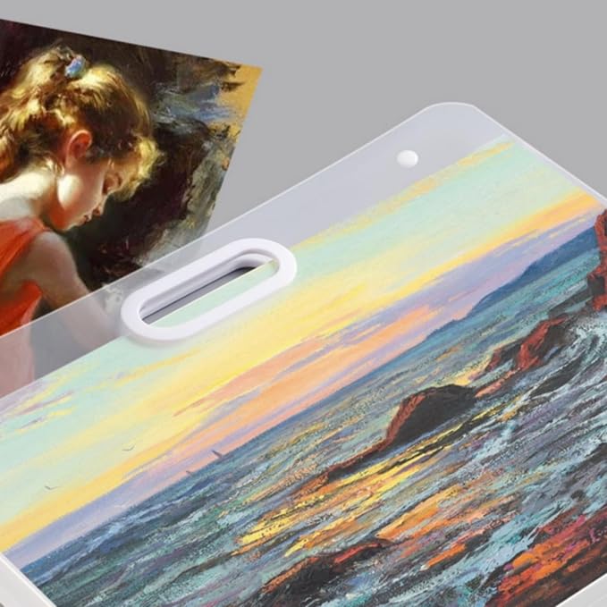 4 Pack Art Portfolio Folder, 17" x 13" Clear Poster Storage Bag with Handle, Plastic Waterproof Bulletin Board Holder Painting Container for Artwork, Drawing Pads, Charts